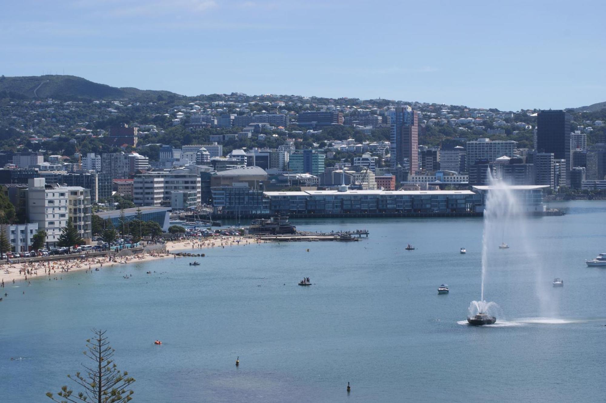 Oriental Bay At Its Best ويلينغتون المظهر الخارجي الصورة